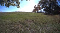 The field cam, Oct 17, 2023 at 10:55am