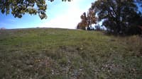 The field cam, Oct 17, 2023 at 10:56am