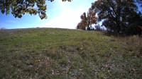 The field cam, Oct 17, 2023 at 11:00am