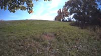 The field cam, Oct 17, 2023 at 11:21am