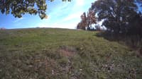 The field cam, Oct 17, 2023 at 11:30am