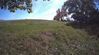 The field cam, Oct 17, 2023 at 11:34am