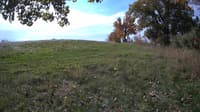 The field cam, Oct 18, 2023 at 8:44am