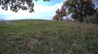 The field cam, Oct 18, 2023 at 8:46am