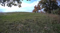 The field cam, Oct 18, 2023 at 8:47am