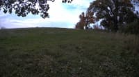The field cam, Oct 18, 2023 at 9:20am