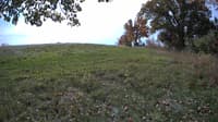 The field cam, Oct 18, 2023 at 9:35am