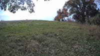 The field cam, Oct 18, 2023 at 9:37am