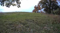The field cam, Oct 18, 2023 at 9:41am