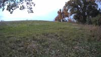 The field cam, Oct 18, 2023 at 9:42am