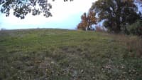 The field cam, Oct 18, 2023 at 9:43am