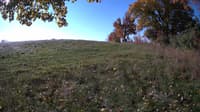 The field cam, Oct 20, 2023 at 8:01am