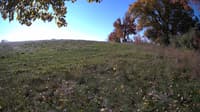 The field cam, Oct 20, 2023 at 8:28am