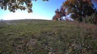 The field cam, Oct 20, 2023 at 8:34am