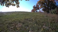The field cam, Oct 20, 2023 at 8:48am