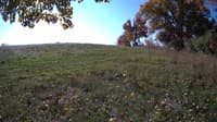 The field cam, Oct 20, 2023 at 8:55am