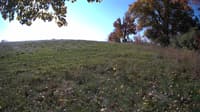 The field cam, Oct 20, 2023 at 8:58am