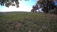 The field cam, Oct 20, 2023 at 9:27am