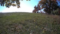 The field cam, Oct 20, 2023 at 9:41am