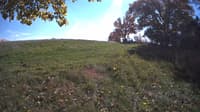 The field cam, Oct 20, 2023 at 11:42am