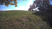 The field cam, Oct 20, 2023 at 11:47am