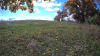 The field cam, Oct 21, 2023 at 9:29am
