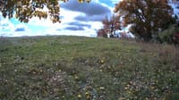 The field cam, Oct 21, 2023 at 9:39am