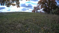 The field cam, Oct 21, 2023 at 9:40am