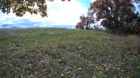The field cam, Oct 21, 2023 at 10:23am
