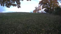 The field cam, Oct 21, 2023 at 4:35pm