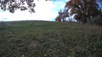 The field cam, Oct 22, 2023 at 8:57am
