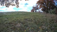 The field cam, Oct 22, 2023 at 9:02am