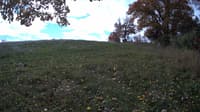 The field cam, Oct 22, 2023 at 9:04am