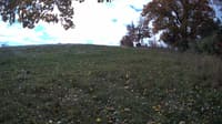 The field cam, Oct 22, 2023 at 9:10am