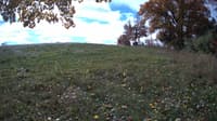 The field cam, Oct 22, 2023 at 9:14am