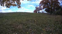 The field cam, Oct 22, 2023 at 10:28am