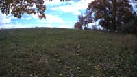 The field cam, Oct 22, 2023 at 10:30am
