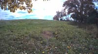 The field cam, Oct 22, 2023 at 11:15am