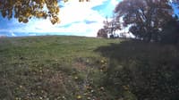 The field cam, Oct 22, 2023 at 12:05pm