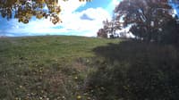 The field cam, Oct 22, 2023 at 12:08pm