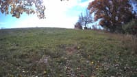 The field cam, Oct 23, 2023 at 9:53am