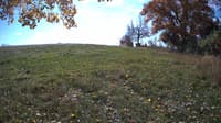The field cam, Oct 23, 2023 at 9:59am