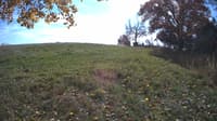 The field cam, Oct 23, 2023 at 11:20am