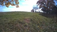 The field cam, Oct 23, 2023 at 11:24am
