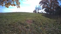 The field cam, Oct 23, 2023 at 11:25am