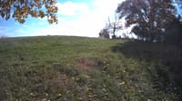 The field cam, Oct 23, 2023 at 11:49am