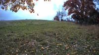 The field cam, Oct 24, 2023 at 10:43am
