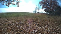 The field cam, Oct 29, 2023 at 10:55am