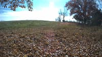 The field cam, Oct 29, 2023 at 11:00am