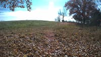 The field cam, Oct 29, 2023 at 11:01am